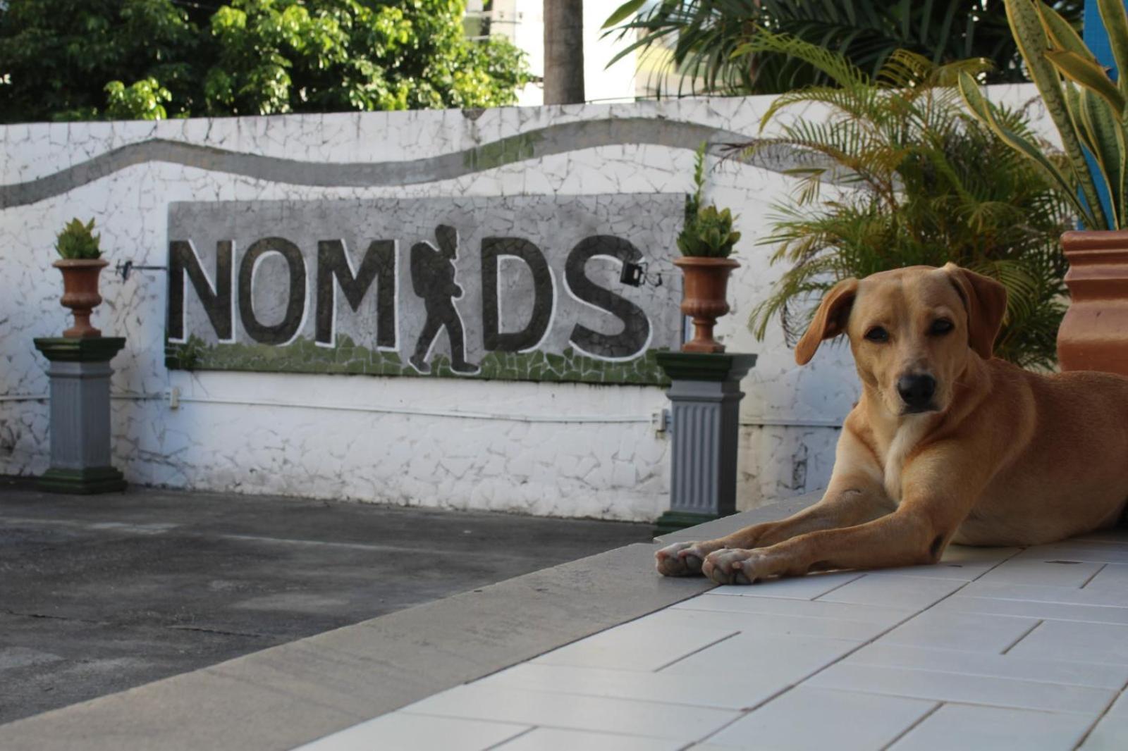 Nomads Hostel Multicultural & Coworking Salvador Exteriér fotografie