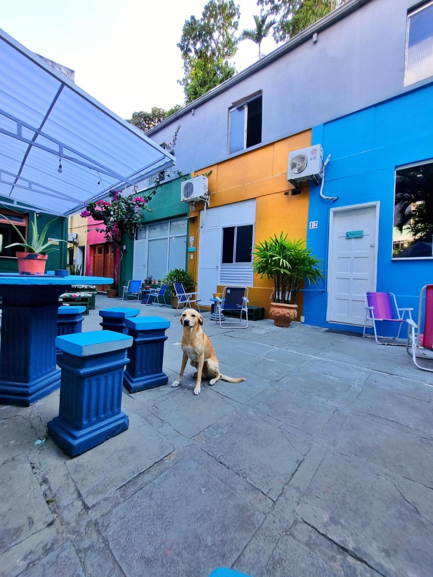 Nomads Hostel Multicultural & Coworking Salvador Exteriér fotografie